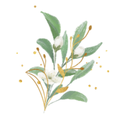 Logo - ICON - ecosysteme