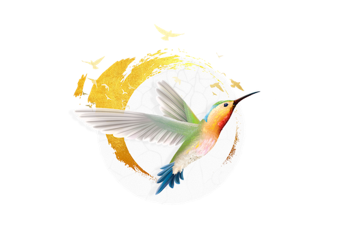 Nicolas Poloczek - Dojo du Présent - Logo 2022 rond