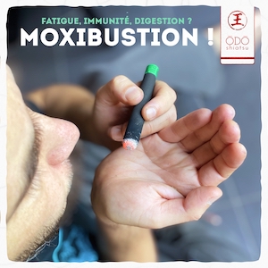 Nicolas Poloczek - Formation moxibustion Nicolas Poloczek - Cours de Shiatsu, Do-in, Qi Gong, Méditation - Brabant Wallon - Belgique