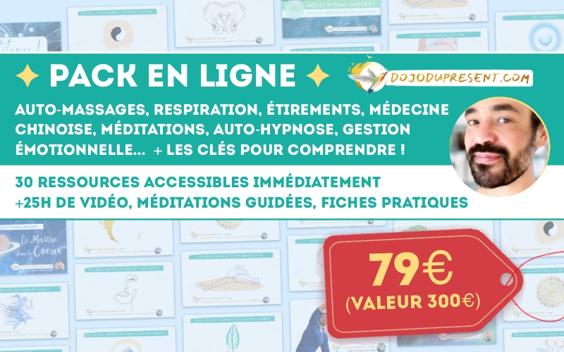 Nicolas Poloczek - Dojo du Présent - Pack cours en ligne - Auto-massages, respiration, étirements, médecine chinoise, méditations, auto-hypnose, gestion émotionnelle... + les clés pour comprendre ! - Website