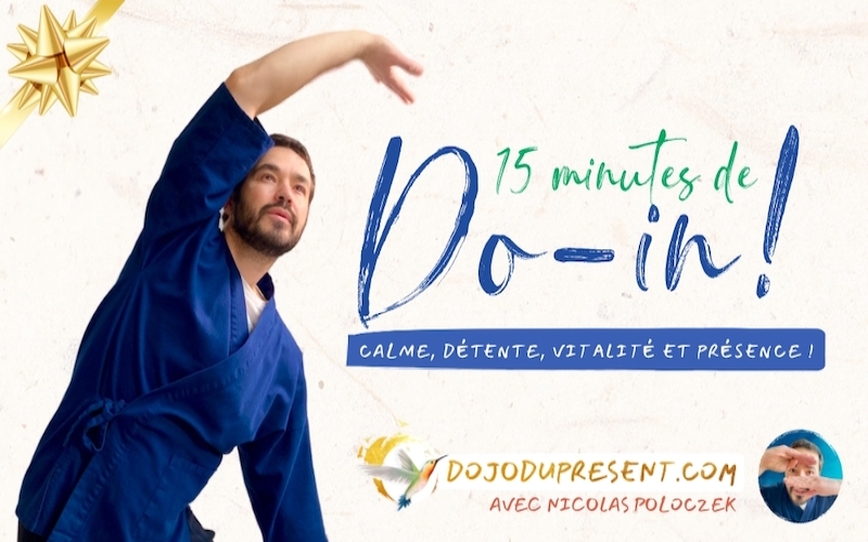 Nicolas Poloczek - Dojo du Présent - Séances d'automassage Do-in gratuite en ligne