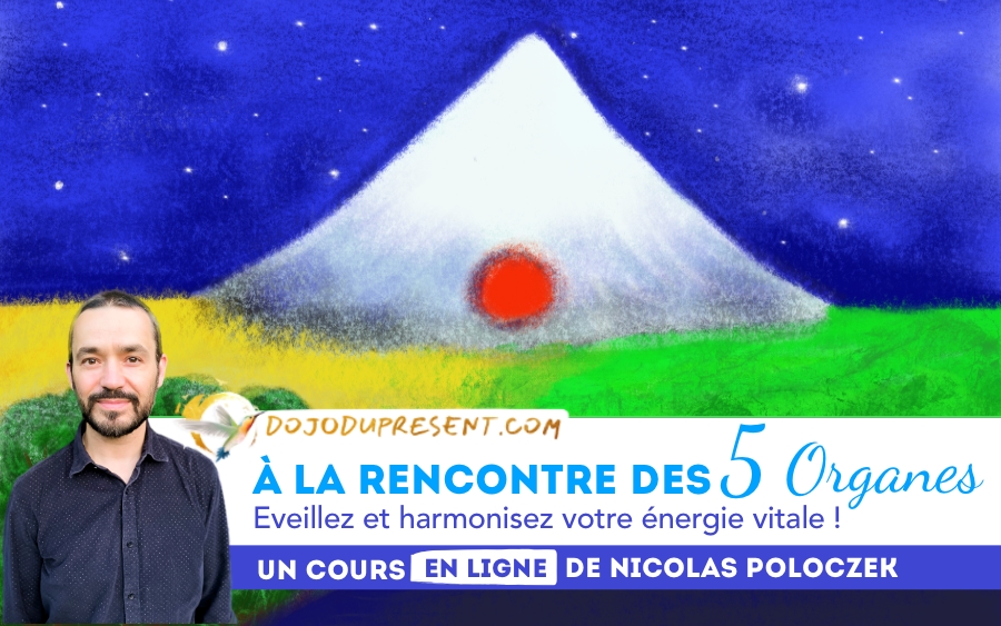 « A la rencontre des 5 organes Yin » est une puissante visualisation guidée pour éveiller et harmoniser votre énergie vitale. Plongez dans une expérience unique inspirée des enseignements millénaires de la médecine chinoise, du modèle des Cinq Éléments, des techniques de Qi Gong (mobilisation de la conscience et du souffle), et de l’Auto-Hypnose !