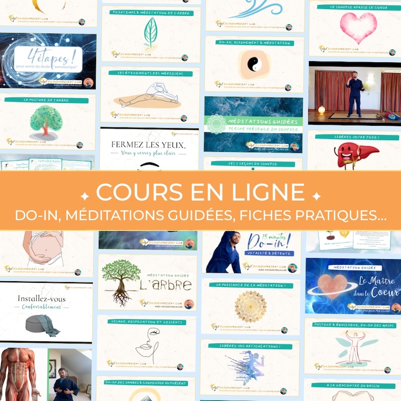 Nicolas Poloczek - Cours en ligne - Auto-massage, méditation, médecine chinoise...