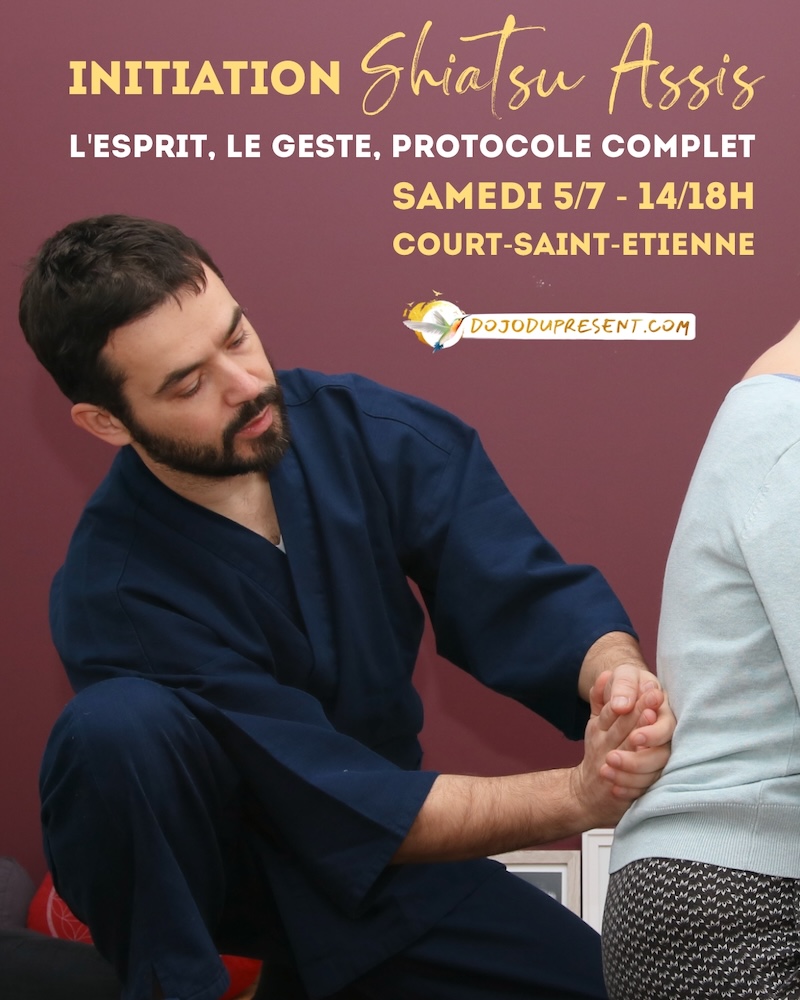 Nicolas Poloczek - initiation au Shiatsu Assis - 2025