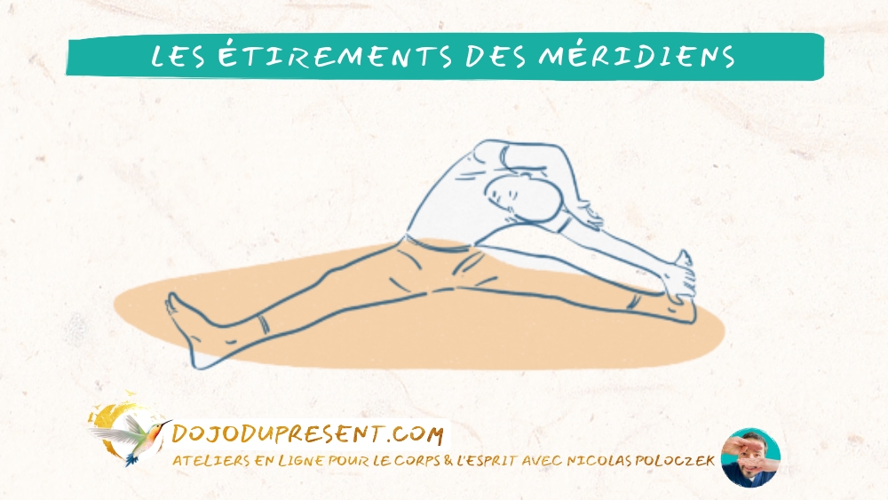 Les étirement des méridiens
