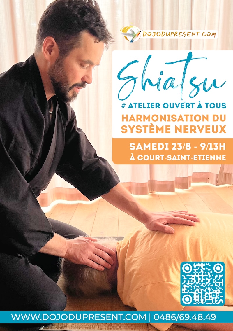 Nicolas Poloczek - Atelier Shiatsu Harmonisation du Systèpe nerveux - Dojo du Présent - animation d'atelier coaching, émotions