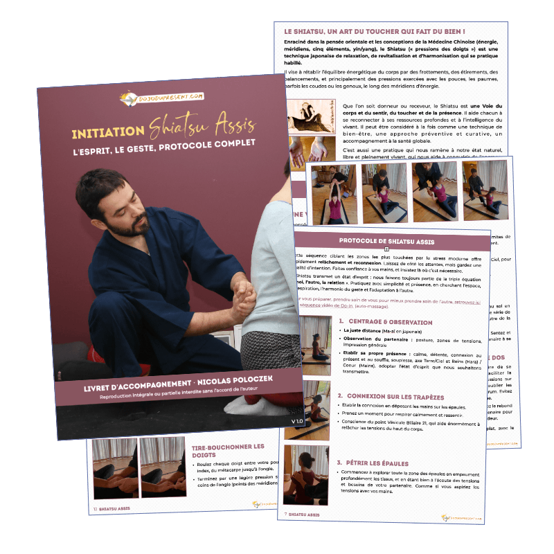 Nicolas Poloczek - Initiation au Shiatsu Assis - Protocole complet - Dojo du Présent Nicolas Poloczek - Initiation au Shiatsu Assis - Protocole complet - Dojo du Présent