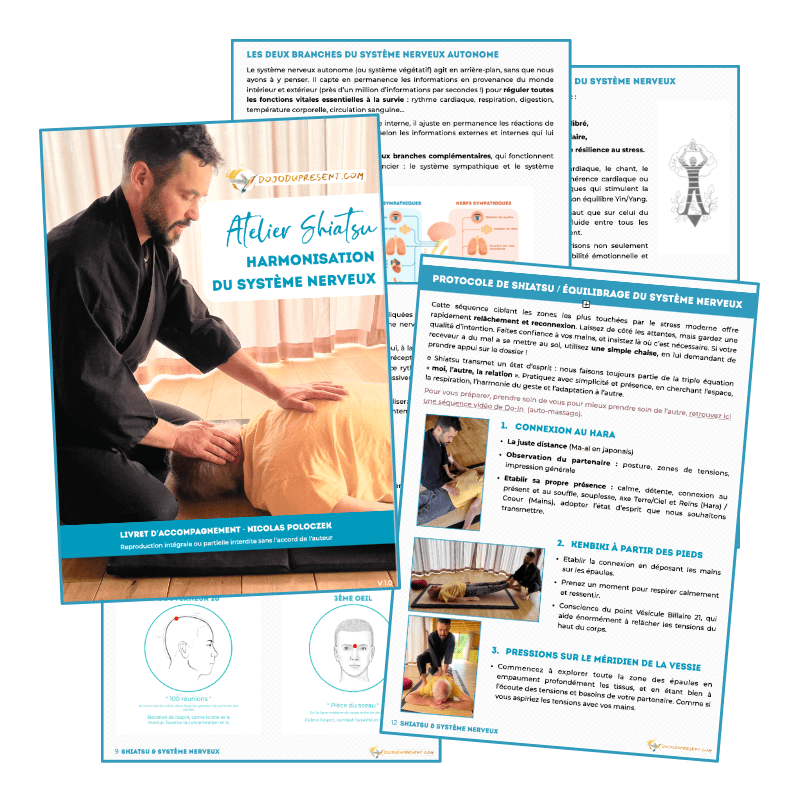 Dojo du Présent - Formation Shiatsu - équilibrage du système nerveux Dojo du Présent - Formation Shiatsu - équilibrage du système nerveux